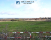 Grunt 53 ha | Guzice| Kopalnia, OZE S3 | Zdjęcie 4