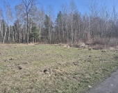 z prywatnym lasem, za działką też stare lasy | Zdjęcie 3