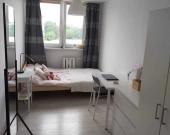 3pok, 54met, Okolice Studziennej PIWNICA/WINDA (Wrocław) | Zdjęcie 1