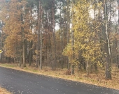 MALOWNICZA SCENERIA | Zdjęcie 5