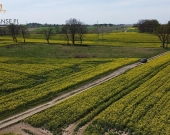 duża działka w Nowych Bielicach | Zdjęcie 7