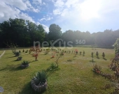 54 ary wraz z domem czekają na Ciebie | Zdjęcie 5