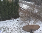 4pok, 80met, Okolice Starogajowej OGRÓD/GARAŻ (Wrocław) | Zdjęcie 6