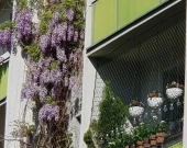 1pok, 33met, Okolice Lelewela BALKON/PIWNICA/PARKING (Wrocław) | Zdjęcie 8