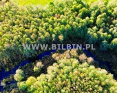 REZERWACJA ! | Zdjęcie 5