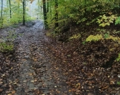 Lipnica Dolna - 7 hektarów 33 ary | Zdjęcie 13