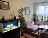 3pok, 65met, Okolice Babimojskiej PIWNICA/KOMÓRKA (Wrocław) | Zdjęcie 5