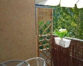 2pok, 43met, okolice Winogronowej BALKON/WINDA/2012 (Wrocław) | Zdjęcie 13