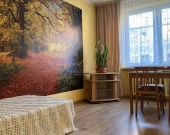 3 pokoje, 56,1 m², balkon, piwnica - Brzeg, ul. Garbarska | Zdjęcie 5