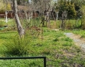 ROD "Nad Wątokiem" Tarnów | Zdjęcie 11