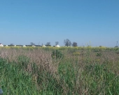 ⭐Tuż obok Kostrzyna⭐Nowe zabudowania w okolicy⭐Bli | Zdjęcie 9