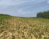 Działka budowlana w miejscowości Siedliska | Zdjęcie 5