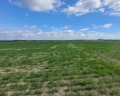 Sprzedaż 1,58 ha - budownictwo mieszkaniowe Opole | Zdjęcie 1