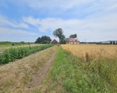 Działka Budowlana (2000 m2) MEDIA (Brzozowiec) | Zdjęcie 6