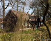Drewniany dom do odrestaurowania w miejsc. Pawęzów | Zdjęcie 2