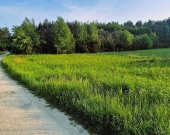 Działka budowlana w Pogórskiej Woli, gmina Skrzysz | Zdjęcie 4