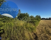 Wrocław Kminkowa działka inwestycyjna - nowa cena! | Zdjęcie 7