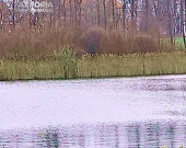 Działka nad Zalewem w Krynkach | Zdjęcie 3