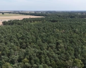 Las na sprzedaż - Koźlątków, gm. Lisków | Zdjęcie 2