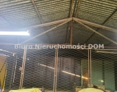 tania hala blaszana do wynajęcia | Zdjęcie 3