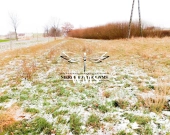 Działka 0,46 ha z WZ w Wólce Niedźwiedzkiej | Zdjęcie 9