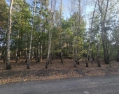 działka z lasem, pod rezydencje lub małe osiedle | Zdjęcie 2