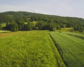 Lipnica Dolna-malownicze miejsce z potencjałem inwestycyjnym | Zdjęcie 10