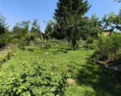 ROD "Kopernik" w Tarnowie | Zdjęcie 5