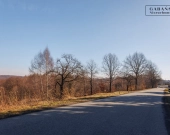 Działka budowlano-rolna w Dąbrówce Szczepanowskiej | Zdjęcie 9