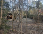 lasy, warunki zabudowy, sąsiedztwo, lokalizacja | Zdjęcie 4