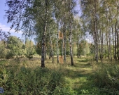 DZIAŁKA ROLNA/INWESTYCYJNA| 6,58HA |BLISKO JEZIORA | Zdjęcie 3