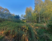 wz, lokalizacja, możliwość dokupienia działek obok | Zdjęcie 5