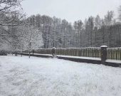 Z lasem, wz, mediami przy prywatnej drodze | Zdjęcie 1