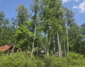 za Sarnią, 3 do wyboru, warunki zabudowy | Zdjęcie 8