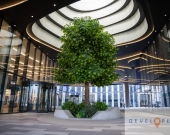 M3 w budynku premium  I Centrum I Hala garażowa | Zdjęcie 5