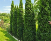 ROD "Strumyk" Tarnów | Zdjęcie 14