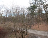 1pok, 24met, okolice Parku Prackiego TARAS/PO REMONCIE (Wrocław) | Zdjęcie 11