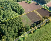 Duża działka budowlana z własnym lasem – 7012 m² | Zdjęcie 2