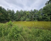 Działka budowlana (6000 m2) okolice Twardogóry JEZIORO/LAS | Zdjęcie 6