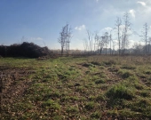 pod produkcję, magazyny lub usługi | Zdjęcie 6