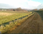 Cztery działki rolne | Zdjęcie 5