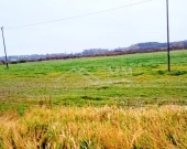 Duże działki rolne z potencjałem bud. po ok. 8000m | Zdjęcie 1