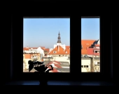 2pok, 37met, Okolice Kuźniczej BALKON/KOMÓRKA/WINDA (Wrocław) | Zdjęcie 7