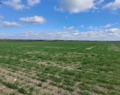 Sprzedaż 1,58 ha - budownictwo mieszkaniowe Opole | Zdjęcie 2