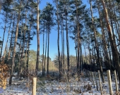 Działka róg Wolęcińskiej/Marty, Warszawa Radość | Zdjęcie 3