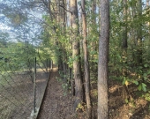 wz na 5 domów, prywatny las, lokalizacja | Zdjęcie 8