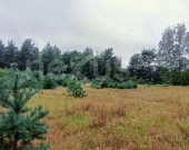 Okazja - działki budowlane w Domasławicach | Zdjęcie 2