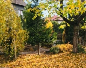 5pok, 250met, oś. Sienkiewicza PIWNICA/OGRÓD/GARAŻ (Legnica) | Zdjęcie 9