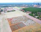 Działki letniskowe - 1 km od jeziora, 2 km od rzeki | Zdjęcie 8