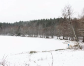 Działka budowlana 50 metrów od jeziora. | Zdjęcie 5